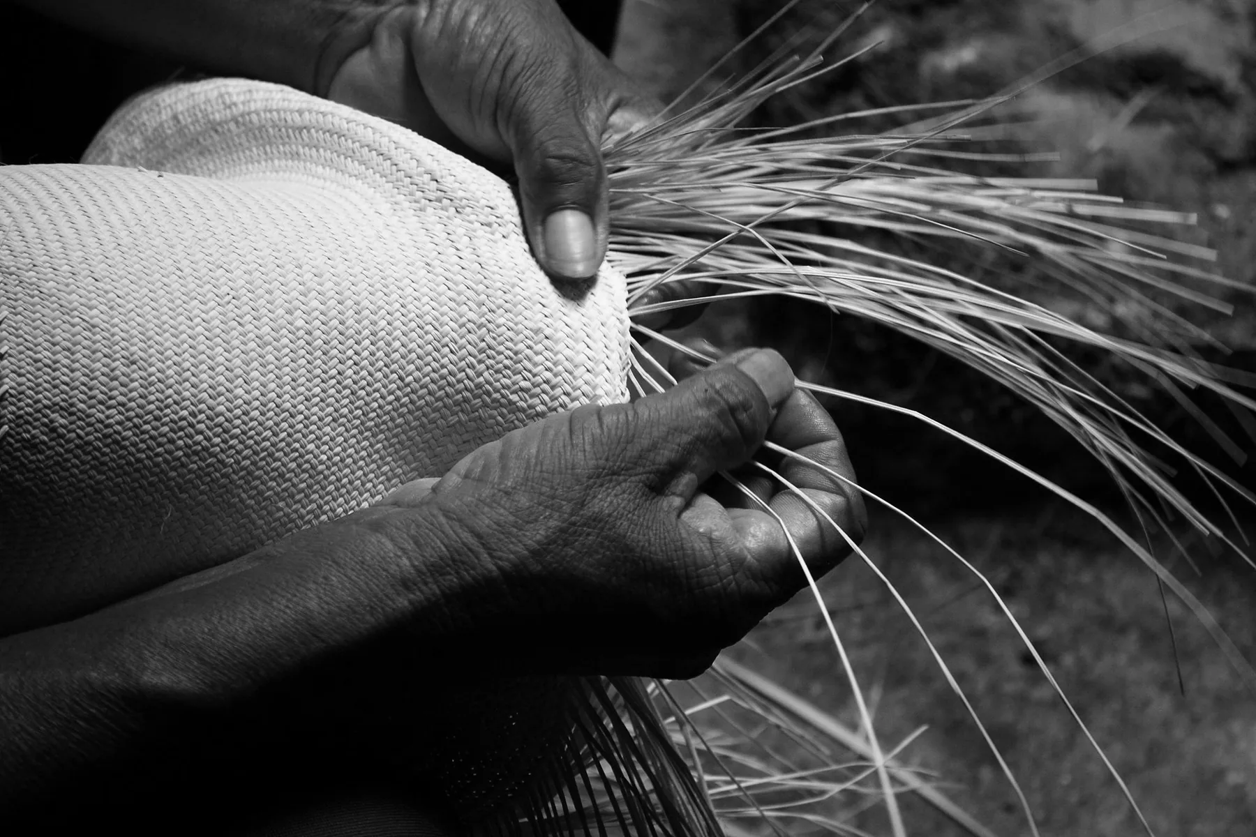 Artisan hands weaving a Panama hat in Ecuador