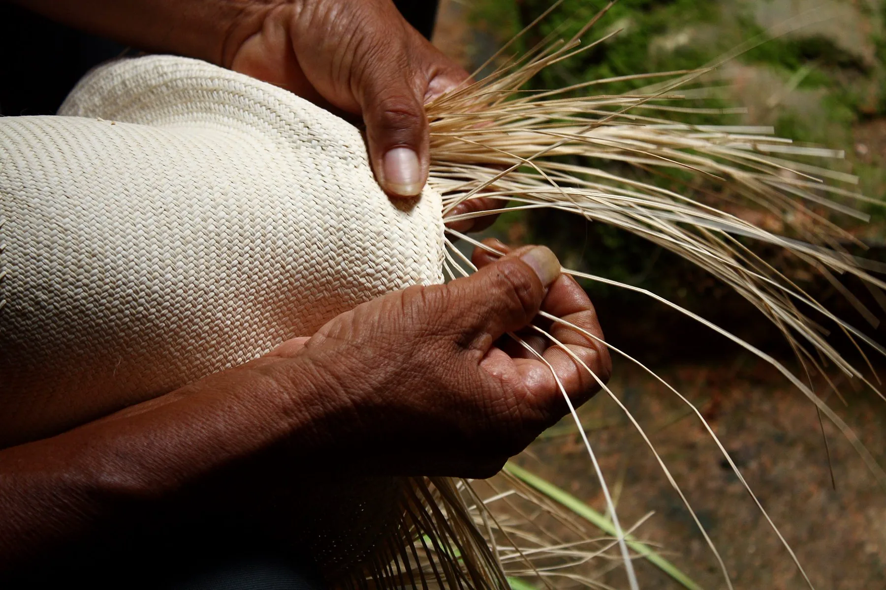 Artisan tissant à la main un chapeau Panama en Équateur
