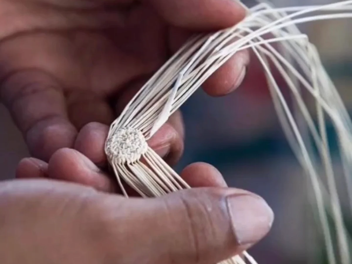 Mains commencant un tissage Toquilla